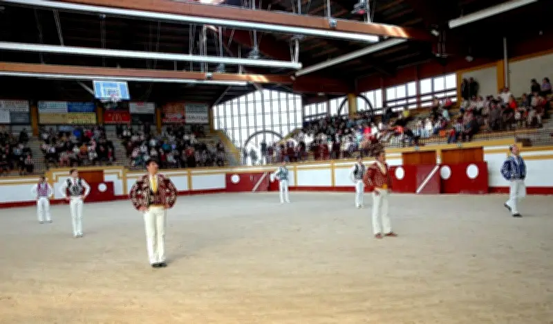 Les arènes de Magescq revivent après 15 ans : le retour triomphal de la course landaise