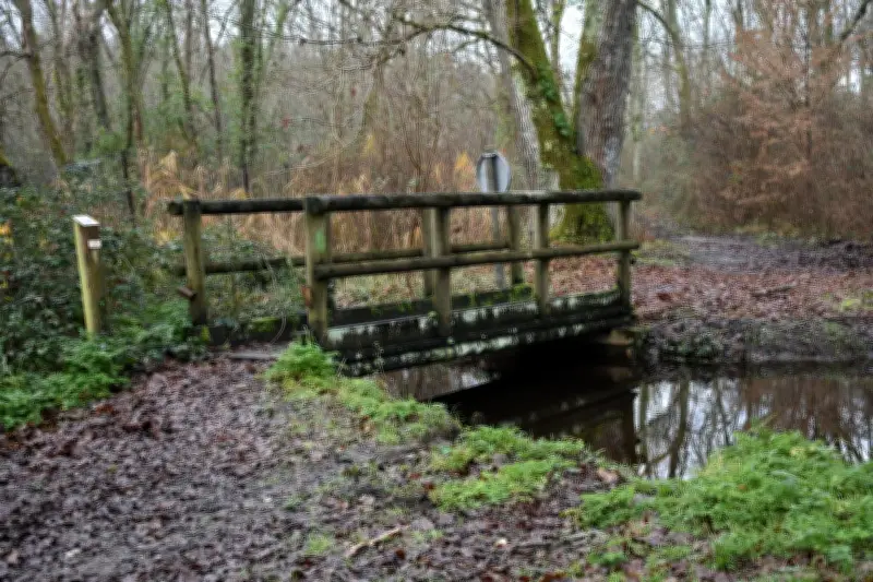 Les Arpenteurs du parc naturel régional organisent une sortie au marais de Labarde le 25 mars