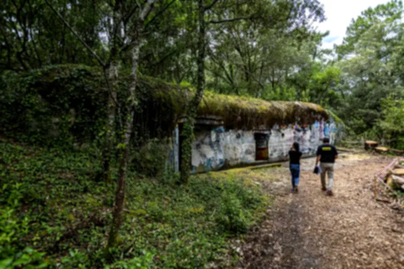 Les blockhaus du bassin d'Arcachon : un patrimoine caché ressuscité par des passionnés