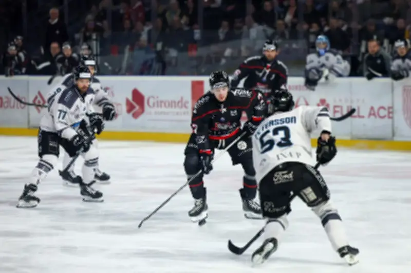 Les Boxers de Bordeaux se qualifient pour les demi-finales après un match 5 intense face à Marseille