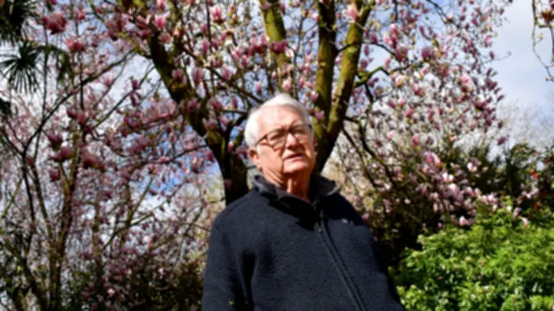 Les camélias fleurissent avec un mois d'avance à Alès, un signe du changement climatique