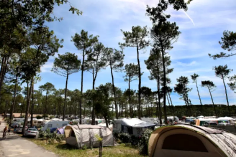 Les campings français enregistrent une hausse de fréquentation en 2025, soutenus par une clientèle fidèle