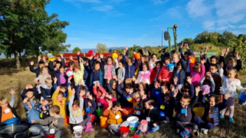 Les écoliers de Corneilhan vendangent la vigne pédagogique sous le soleil automnal