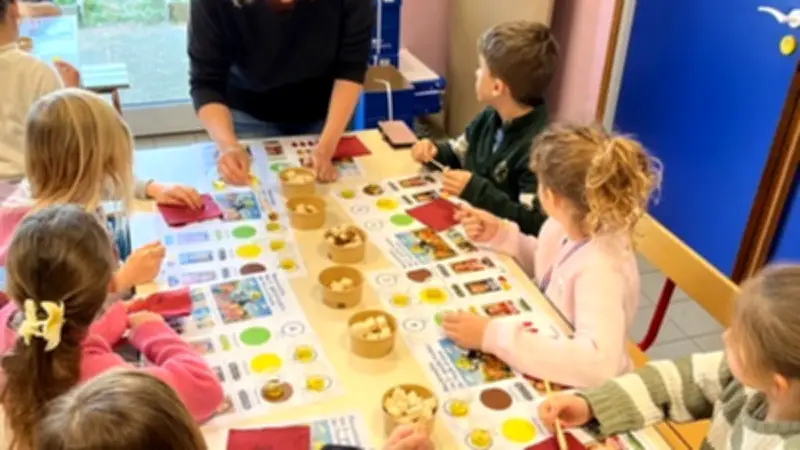 Les écoliers de Villetelle découvrent l'olivier et ses super pouvoirs