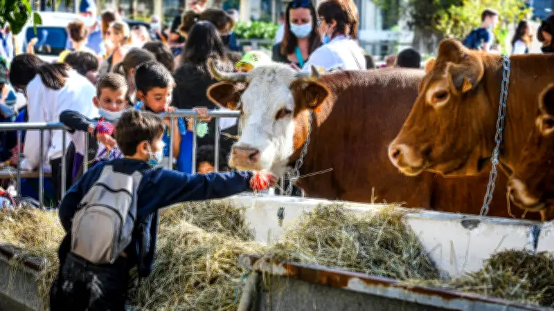 Les écoliers gardois découvrent l'élevage lors des Journées Méditerranéennes des Saveurs