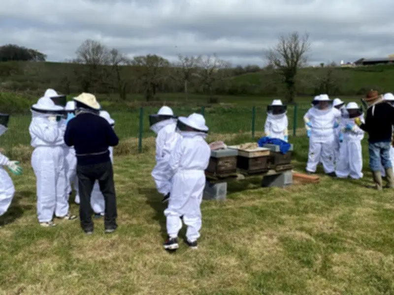 Les collégiens de Sauveterre-de-Béarn découvrent les abeilles et l'agriculture durable