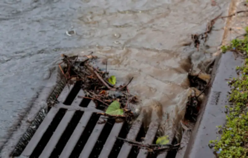 Les eaux usées révèlent une hausse alarmante de la cocaïne et kétamine en Europe