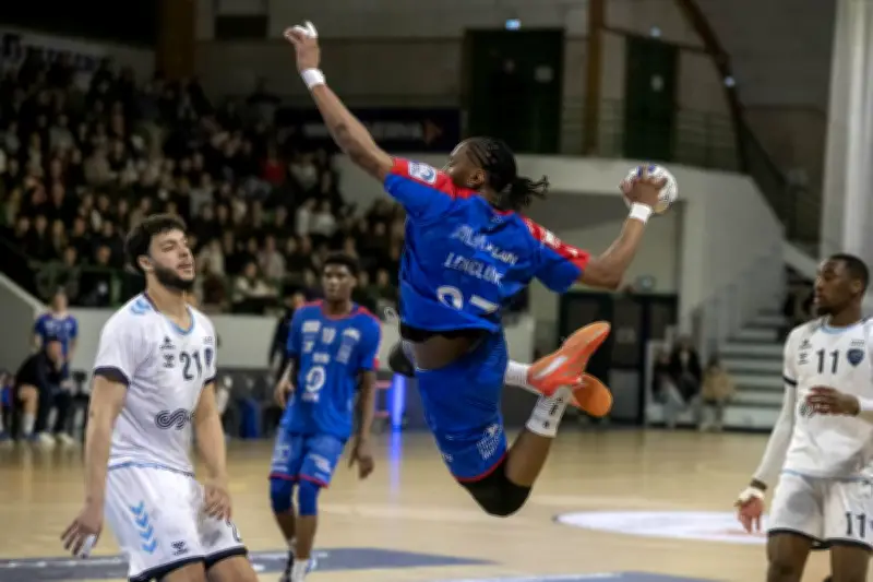 Les Fox de Saintes s'imposent à Besançon dans un match crucial pour le maintien