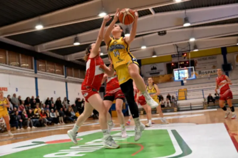 Les Garonnaises face au piège toulousain pour consolider leur podium en N2