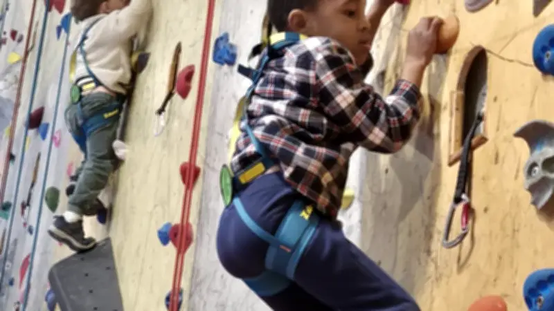 Les jeunes aventuriers du Terrier prennent de la hauteur à Prades-le-Lez