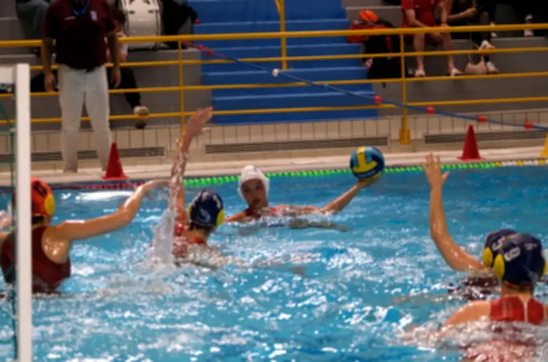 Les Libellules de Paris dominent les Angériennes dans un match crucial de championnat