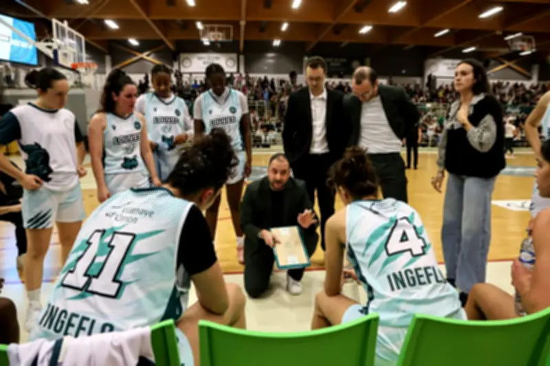 Les Louves de Saint-Delphin chutent face à Poinçonnet en championnat