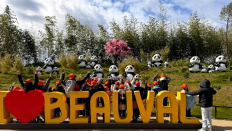 Les élèves de Saint-Joseph découvrent les pandas de Beauval et Chenonceau
