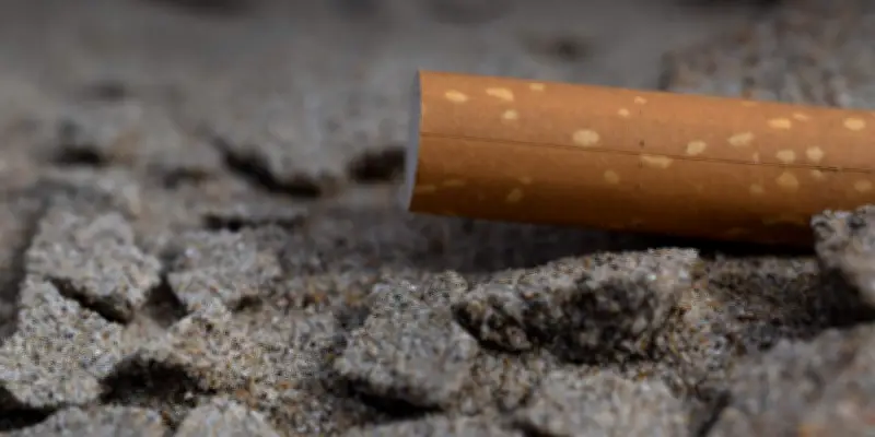 Les mégots de cigarette, révélateurs des usages et contradictions de la société française