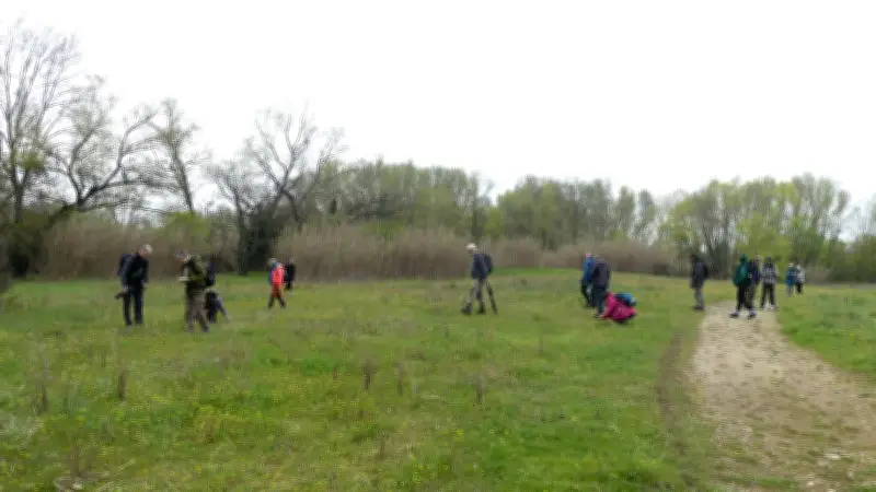 Les orchidées sauvages éclosent précocement dans le Gard, une sortie nature révèle leur richesse
