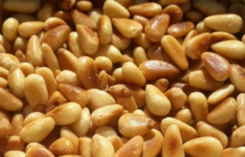 Les pignons de pin : une mine nutritionnelle aux multiples bienfaits pour la santé