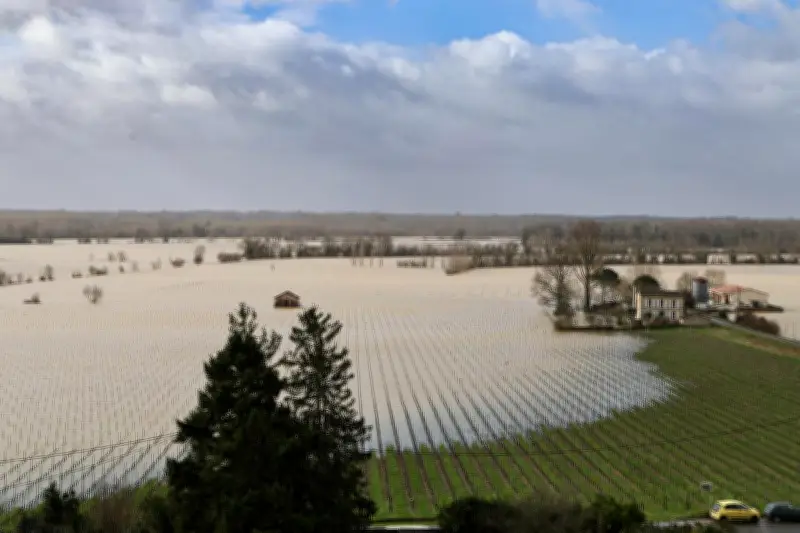 Les pluies exceptionnelles rechargent les nappes phréatiques du Sud-Ouest, mais la sécheresse menace encore l'été