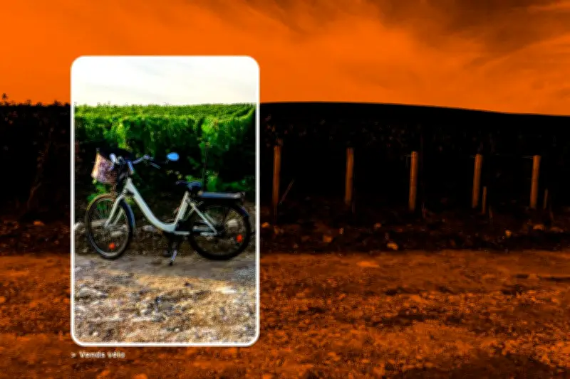 Les policiers de la BAC interpellent violemment un vendeur sur Le Bon Coin