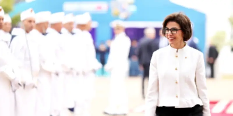 Les réseaux d'influence du Maroc en France : des dinosaures aux nouvelles technologies