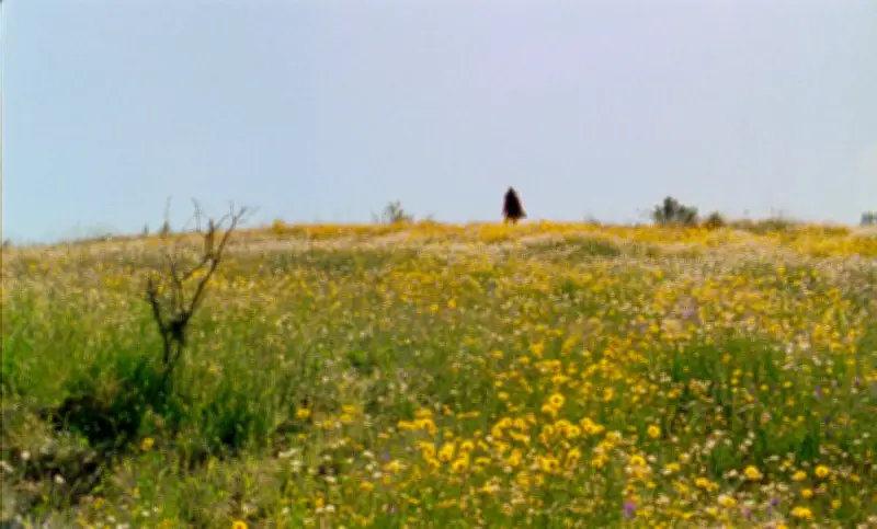 Les Saisons du Portugal : un festival qui révèle les paysages à travers le cinéma