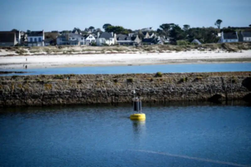 Les savants fous du climat : comment booster la capture de carbone dans l'océan