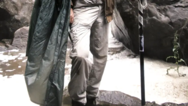 Les secrets du figuier et de ses micro-guêpes révélés par un chercheur CNRS