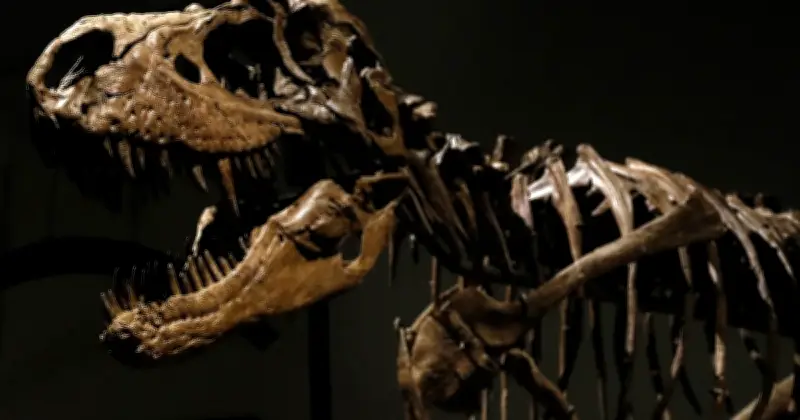 Les squelettes de dinosaures, nouvelle passion des enchères pour ultra-riches