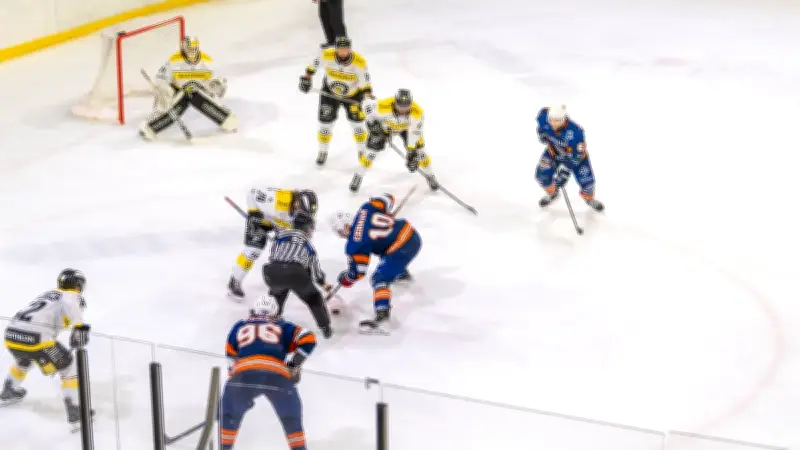 Les Vipers de Montpellier dominent Roanne et se placent idéalement en demi-finale