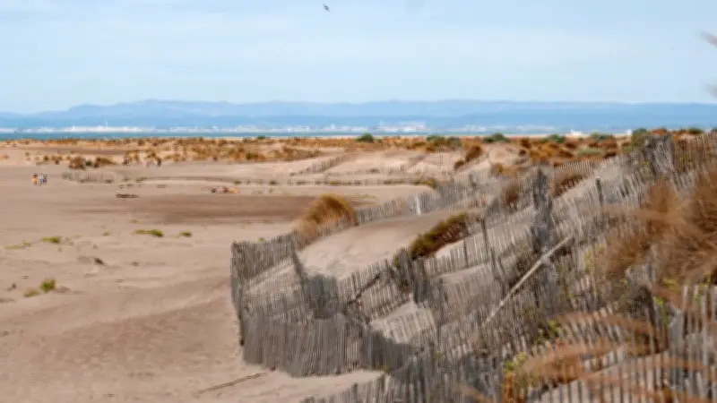 L'Espiguette, joyau sauvage de la Camargue gardoise : entre sable blanc et préservation