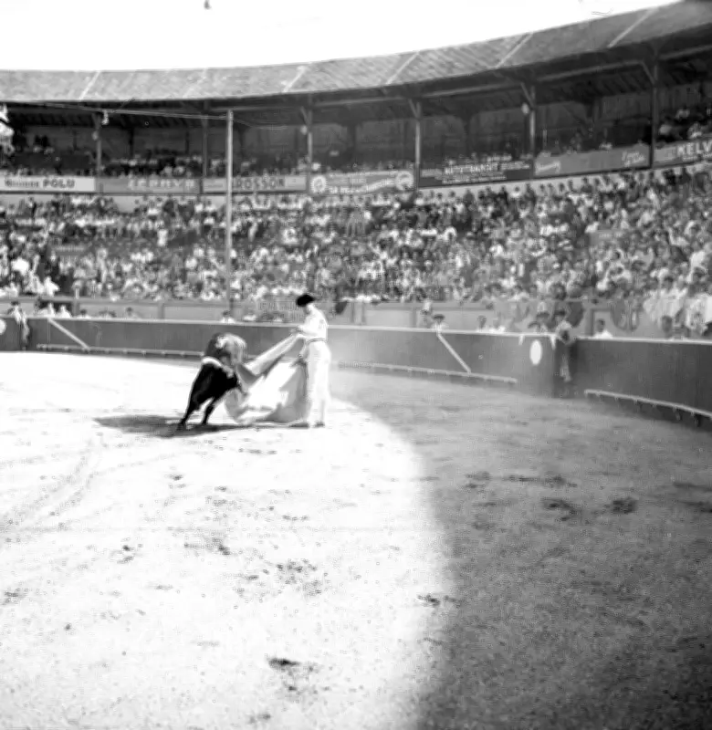 L'Histoire Oubliée des Arènes de Bordeaux : Des Courses de Bœufs à la Tragédie du Bouscat