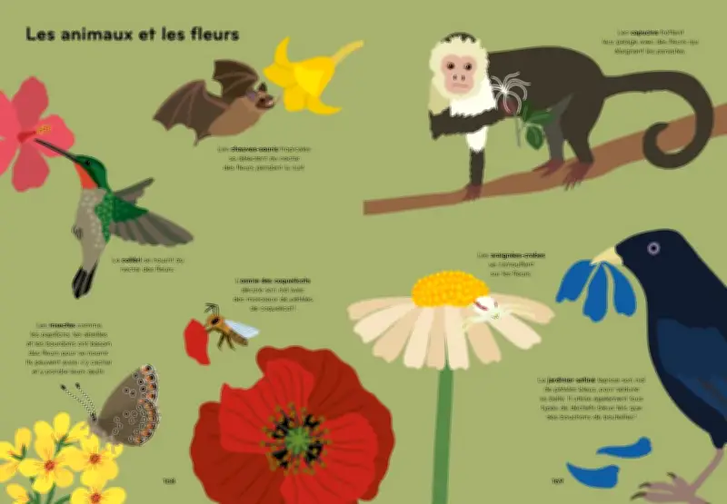 Lis-le avec des fleurs : le livre qui célèbre la nature et la poésie