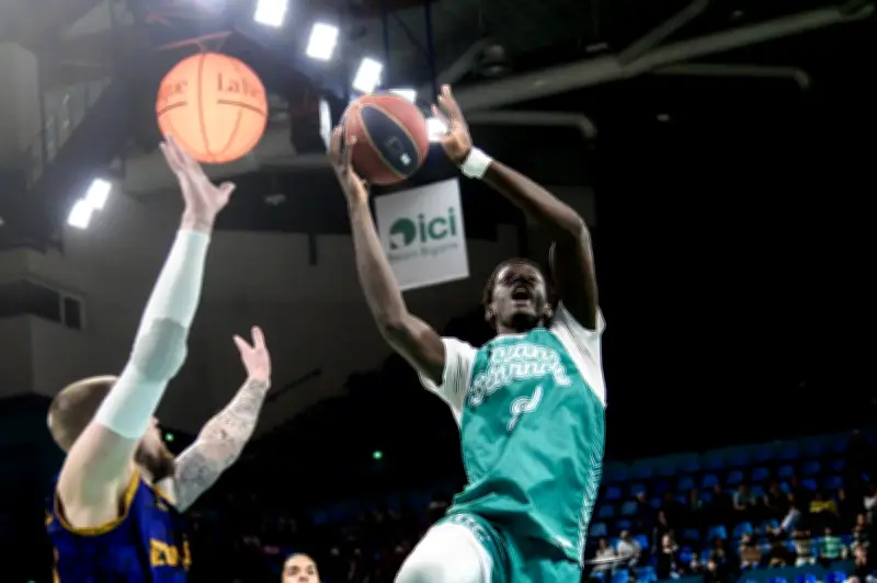 L'Élan Béarnais s'installe sur le podium d'Élite 2 après une victoire éclatante face à Évreux