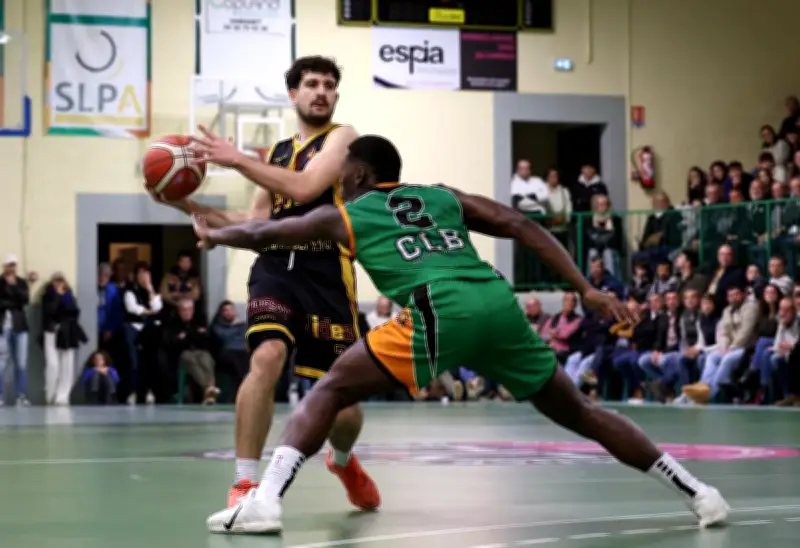 L'Élan Tursan chute du podium en NM3, Cédric Labat face aux absences