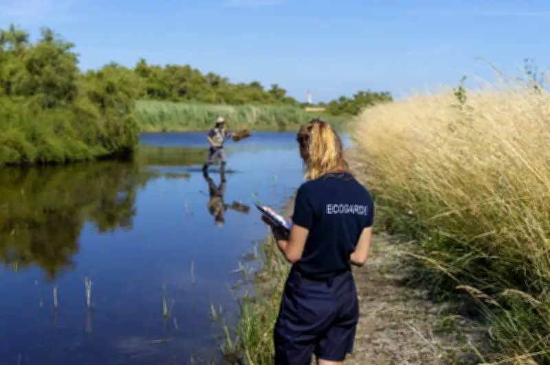L'île de Ré lance un grand recensement de sa biodiversité à partir de 2026