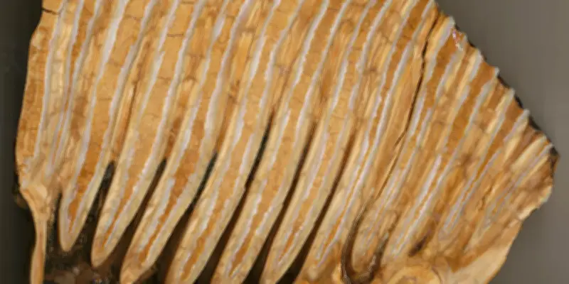 L'éléphant antique, un géant très mobile au menu des Néandertaliens