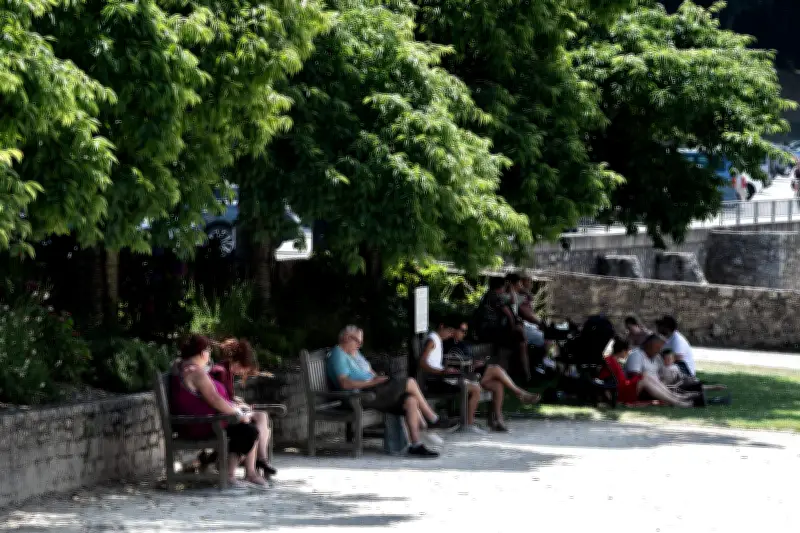 L'ombre, de l'agrément esthétique au droit urbain face aux canicules