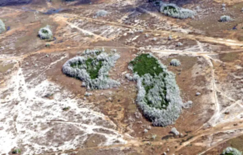 L'OMM alerte : la Terre atteint un record inquiétant de chaleur accumulée en 2025