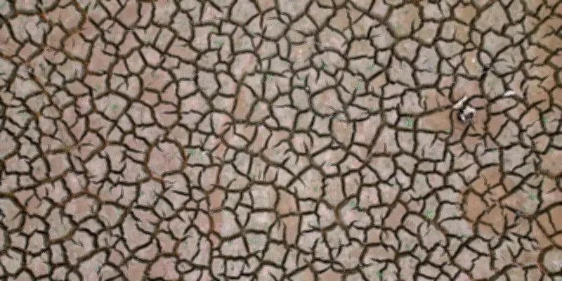 L'ONU alerte : la Terre a accumulé une chaleur record en 2025