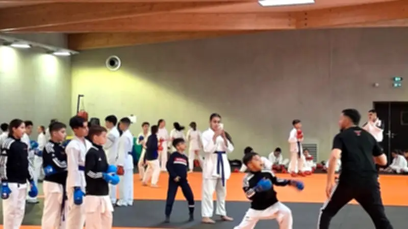 L'Open Gardois de Karaté William Graf attire près de 2 000 spectateurs à Bouillargues