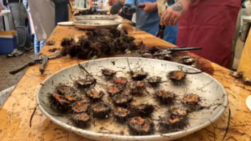 L'Oursinade de Sète 2026 : Dates et Programme de la Fête Gastronomique