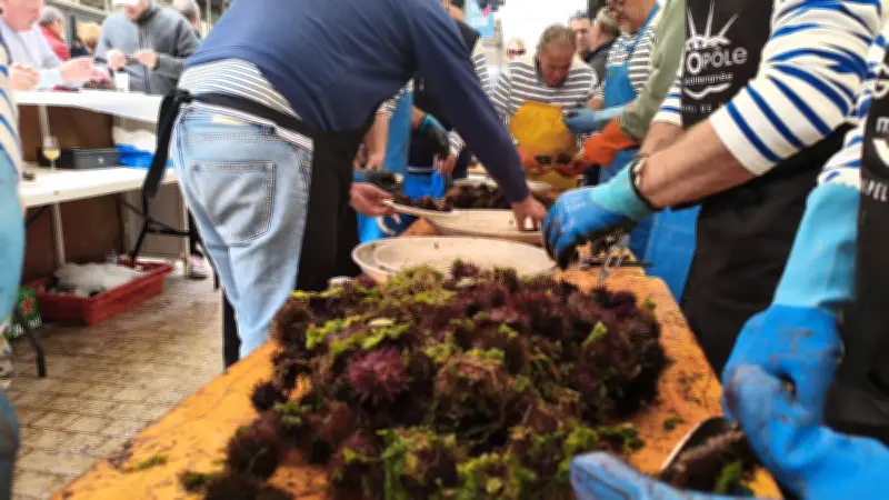 L'Oursinade de Sète : 70 000 oursins dégustés malgré le froid piquant