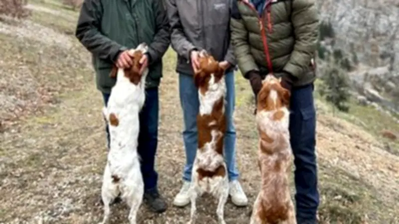 Lozère : Échappées Belles, Kamel Guennoun et réunion économique à Mende
