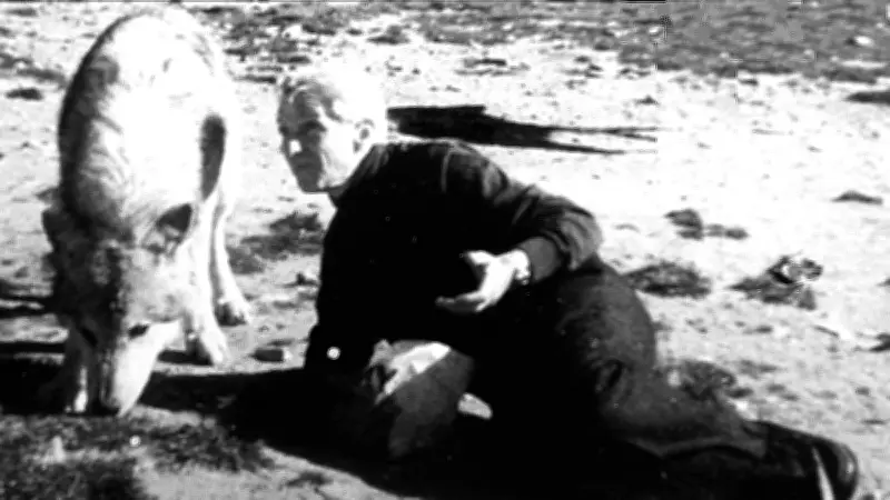 Lozère : Gérard Ménatory et sa louve Taïga, une histoire d'amitié tragique