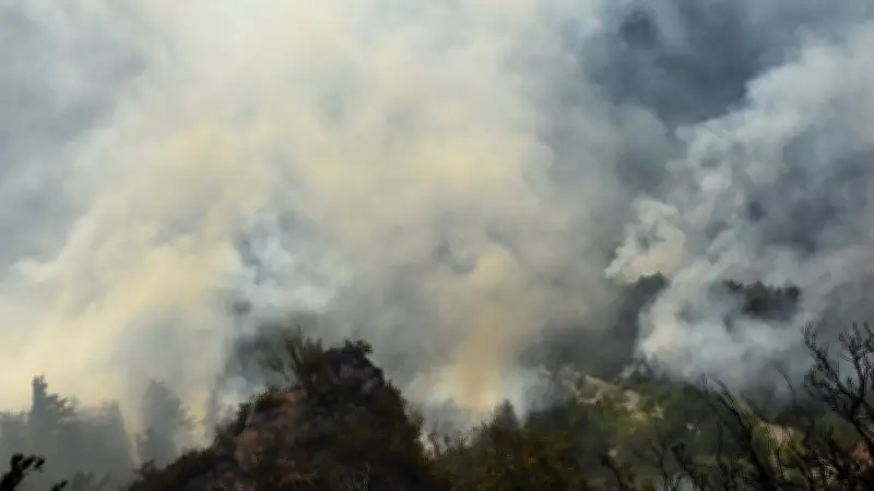Lozère : les pompiers débordés par des écobuages non maîtrisés