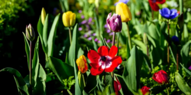 L'épopée des jardins botaniques en Europe depuis la Renaissance