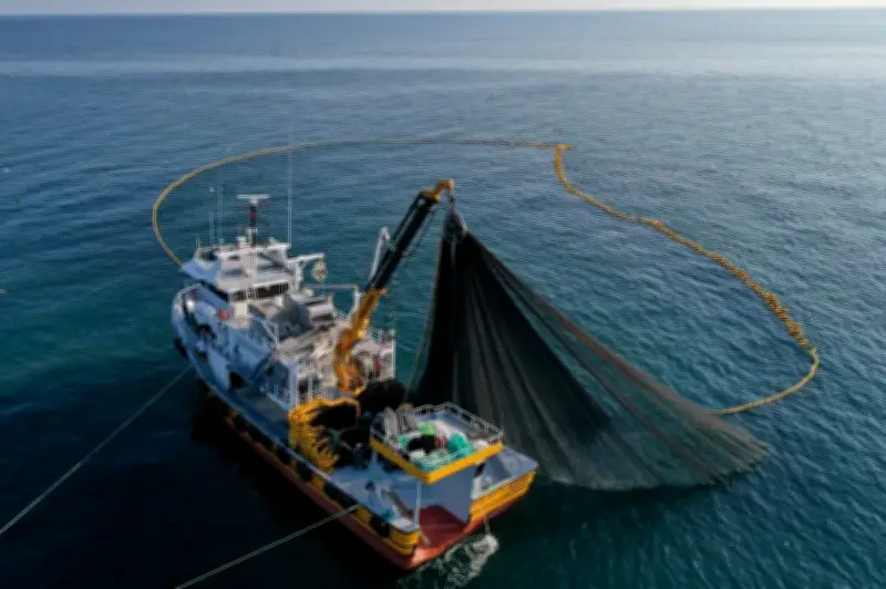 L'UE assouplit les quotas de pêche au maquereau malgré un déclin alarmant de l'espèce