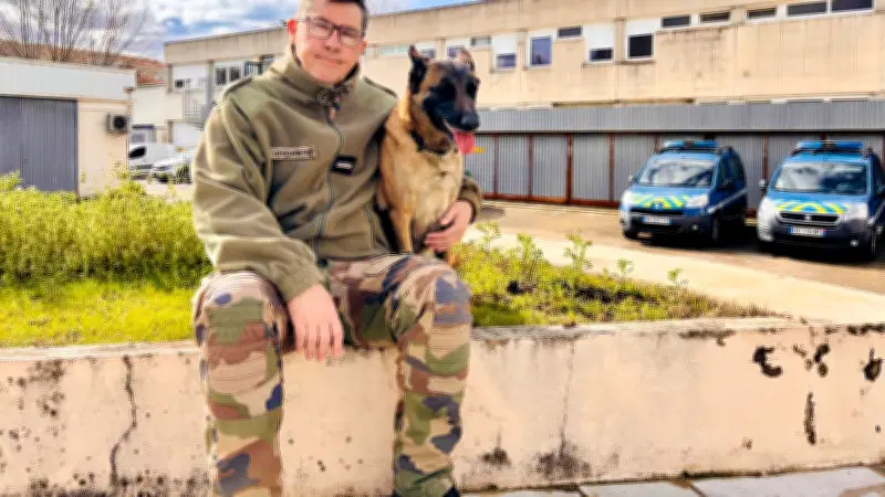 L'unité cynophile de Nîmes : des chiens polyvalents au service de la gendarmerie