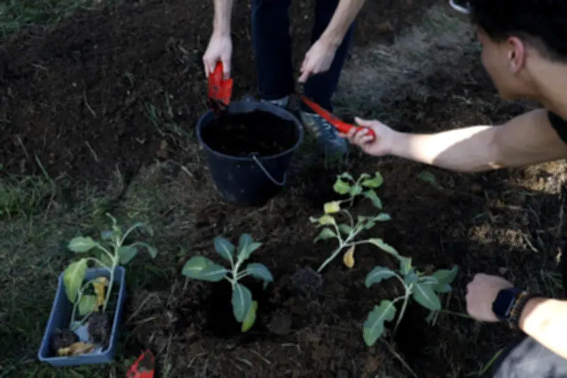 L'Ustom anime Pineuilh avec ateliers jardinage et distribution de composteurs