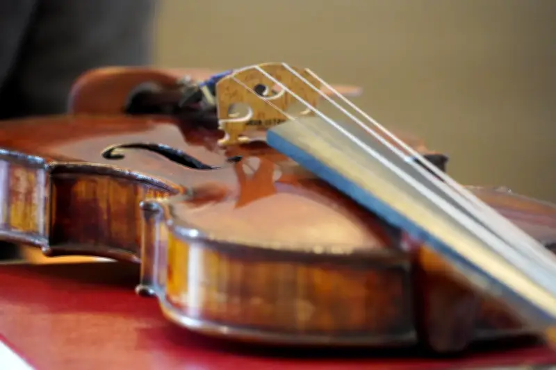 Mando et Co : un concert gratuit de mandolines le 14 mars à la salle polyvalente