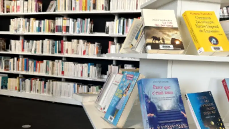 Mangamania : le festival manga revient à la médiathèque de Sauvian